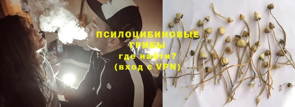 ГАЛЛЮЦИНОГЕННЫЕ ГРИБЫ Абинск
