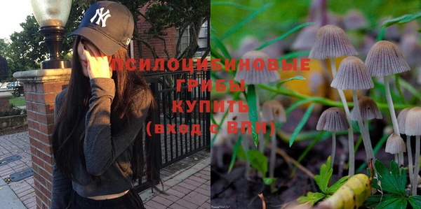 spice Абаза