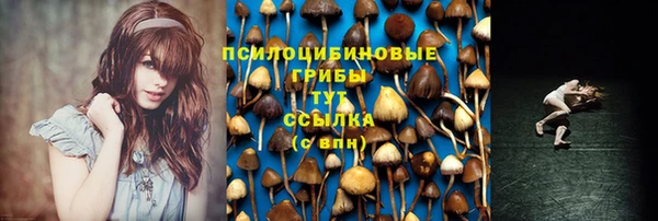 ГАЛЛЮЦИНОГЕННЫЕ ГРИБЫ Абинск